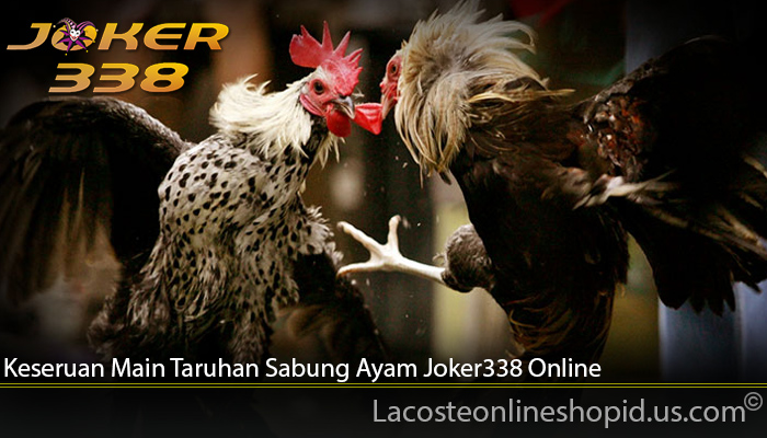 Keseruan Main Taruhan Sabung Ayam Joker338 Online