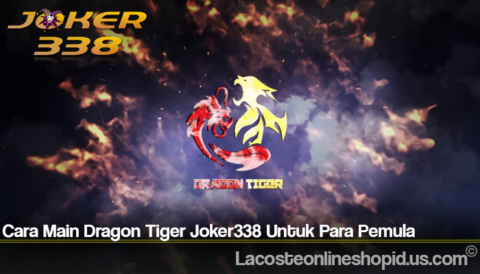 Cara Main Dragon Tiger Joker338 Untuk Para Pemula