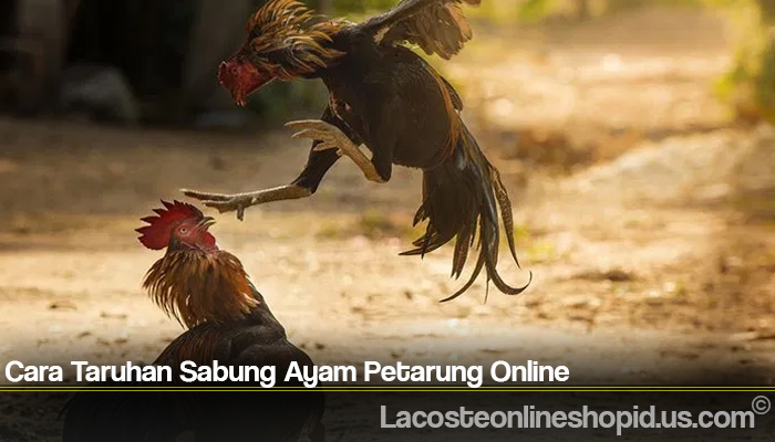 Cara Taruhan Sabung Ayam Petarung Online